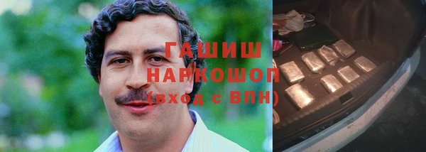 сатива Гусь-Хрустальный