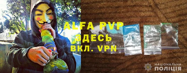 мяу мяу мука Дмитриев