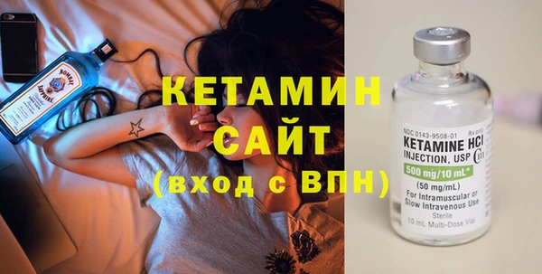 сатива Гусь-Хрустальный