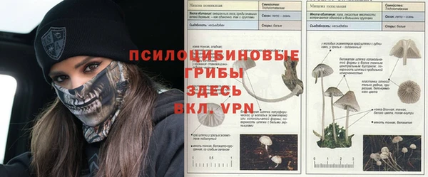 синтетический гашиш Гусиноозёрск