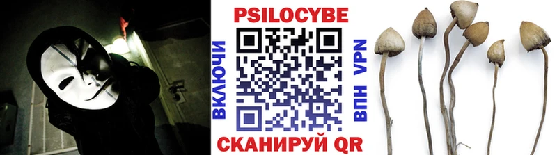 Купить  Красновишерск  Галлюциногенные грибы Cubensis 